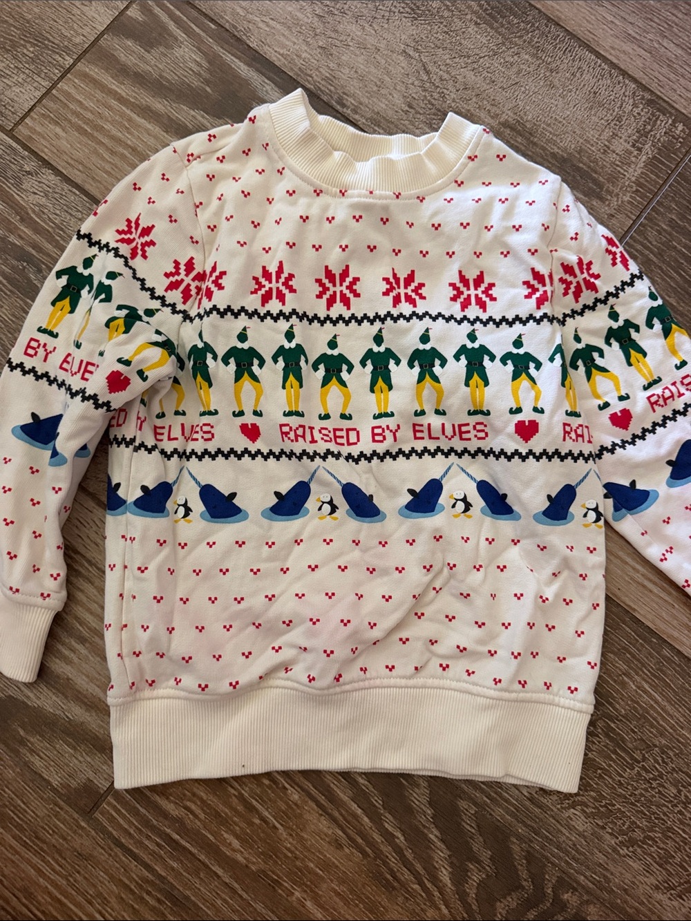 Hanna Andersson elf cotton long sleeve shirt 4t
